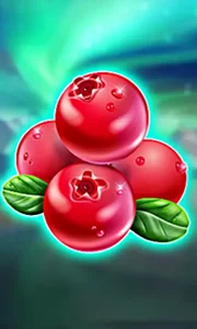 Winterberries