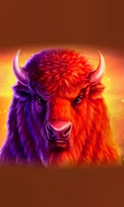 Buffalo 50
